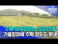 수확 마무리하는 상강인데..동해안은 아직도 가을장마