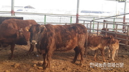 가축인공수정사 시험 143명 합격