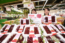 하나로마트, 산딸기 라즈베리 특판행사