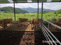 산지생태축산농장 조성사업 추가 신청