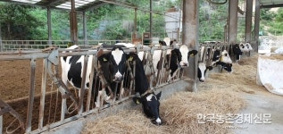 우유팩 유제품 용기 재활용한 창작모형물 공모전 9월 13일까지 진행