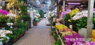 공공부문 화훼소비 활성화 확대추진