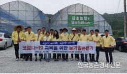 식품진흥원 감초농장 농촌일손돕기