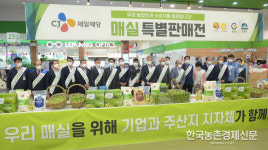 매실 본격 출하...소비촉진 상생마케팅 펼친다