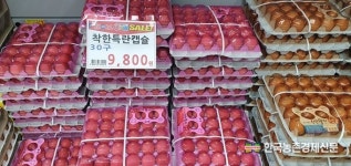 산란계 환우사료 ‘히트산란 웰빙’ 선보여