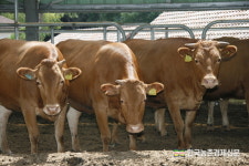 가축분뇨 처리기술 노하우 찿는다!