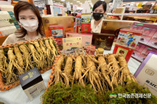 인삼 소비촉진... 홍삼 골라봐요!