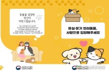 유기동물 입양 활성화 캠페인 눈길