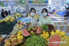 하나로마트... 여름과일 모음전!