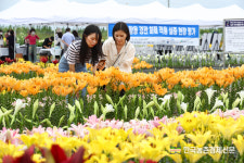 새만금 간척지 활용...경관 화훼산업’ 선보여