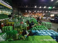가락시장 채소류 4일 저녁까지 경매 출하유의
