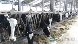 우유가격 내년부터 49원 인상...낙농가 아쉬운 합의