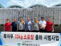 대아청과, 무 10kg 소포장 출하...정착시켜 보자