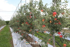 농촌진흥청, 농산물 소득조사 결과 발표...평균 소득률 48%