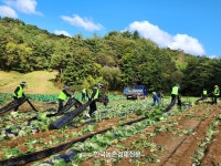 농협 상호금융, 농촌일손돕기 나서