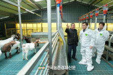 농촌진흥청, 염소 개량 기반 구축 적극 나서