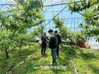 한국청과, 산지‧도매법인‧중도매인 3자 협력 도모