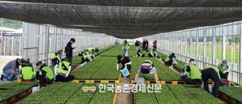 농신보, 집중호우 피해지역 농가에 일손돕기