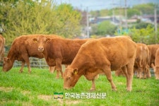 한우자조금 “소 한 마리가 지구를 살린다”