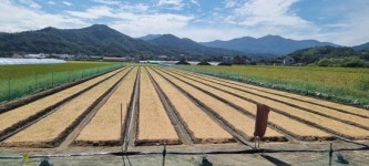 농진청·산림청, '차세대중형위성 4호' 발사 준비 차곡차곡