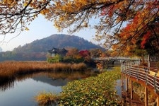 [트래블투데이] 함께 걸어요! 두류공원 ‘3色 힐링산책로’