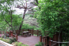 [트래블투데이] 꽃잎 하나 달빛 한 스푼, 곡성에서 봄 캠핑 즐겨볼까