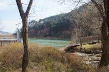 [트래블투데이] 한적한 봄소풍을 즐기고 싶다면? 기장 용소웰빙공원