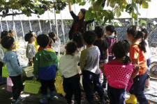 [트래블투데이] 보고 ․ 만지고 ․ 느끼는 보령으로 농촌체험 떠나볼까?