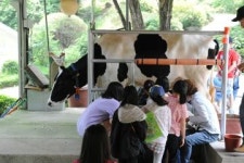 [트래블투데이] 푸른 초원이 아름다운 목장으로 떠나요!