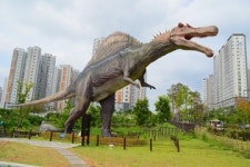 [트래블투데이] 울산 중구 도심 속 쥬라기공원, 공룡 발자국 공원