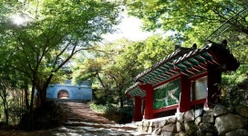 [트래블투데이] 자연의 신비를 찾아 금오산도립공원으로