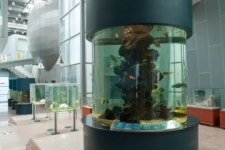 [트래블투데이] 손으로 만져보는 통영의 바다, 통영수산과학관