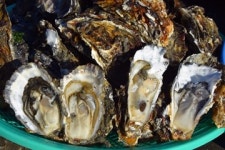 [트래블투데이] ‘남성에겐 힘, 여성에겐 피부미용’에 좋은 완도 굴