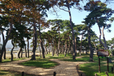 [트래블투데이] 전남도, 2월 명품숲 ‘보성 웅치 용반 마을전통숲’ 선정