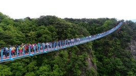 [트래블투데이] 원주의 명물 소금산 출렁다리 재개장!