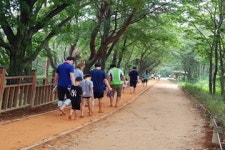 [트래블투데이] “김해 분성산 생태숲” 코로나 장기화 도심 속 힐링 명소 부상