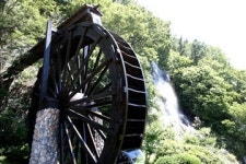 [트래블투데이] “대청누리길 걸으며 피서와 힐링 동시에”