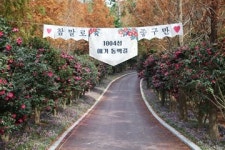[트래블투데이] 2004만송이 애기동백꽃 향연, 1004섬 신안『섬 겨울꽃 랜선 축제』