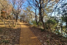 [트래블투데이] 거제시 옥림 옥화마을에서 장승포 윤개공원까지 해안거님길 준공