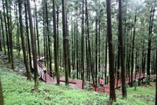 [트래블투데이] 맑은 공기 푸른 숲길 따라 힐링하세요. 장흥 힐링로드