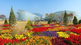 [트래블투데이] 세종시, 2023-2024 한국관광 100선에 국립세종수목원 선정