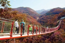 [트래블투데이] 파주시, 단풍이 절정으로 물드는 시기, 파주로 단풍 여행 가요!