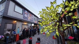 달님마저 반해버린  LED야생화 골목길