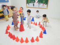 강원도 인제군, 사실상 무상보육