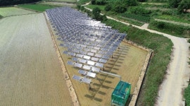 영농형 태양광 그린뉴딜 첨병될까?