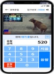 한우 경매 스마트폰으로..농협 스마트 가축시장 플랫폼 고도화