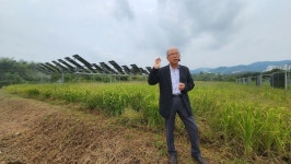 [르포] 영농형 태양광, 농민 새 희망 될까