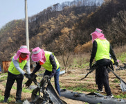 NH농협은행 준법감시부문, 경북 안동 산불피해 지역서 임직원 봉사