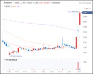 [특징주] 중국 사업 날개다나..형지그룹주 급등