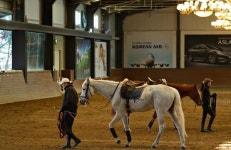 여행·미식·와인·승마까지..롯데百, 에비뉴엘 혜택 고도화